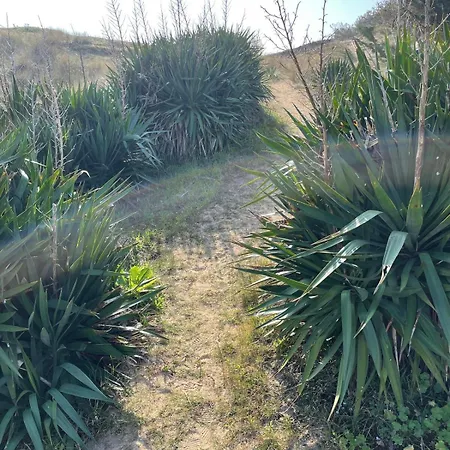 Les Dunes Lägenhet Saint-Hilaire-de-Riez