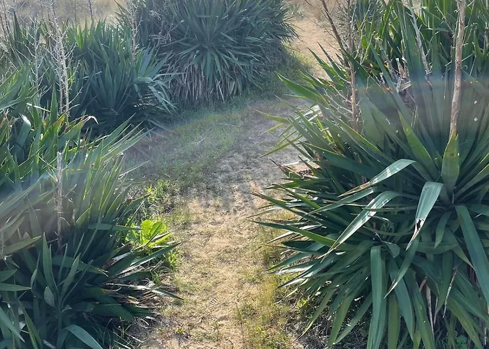 Les Dunes Appartamento Saint-Hilaire-de-Riez